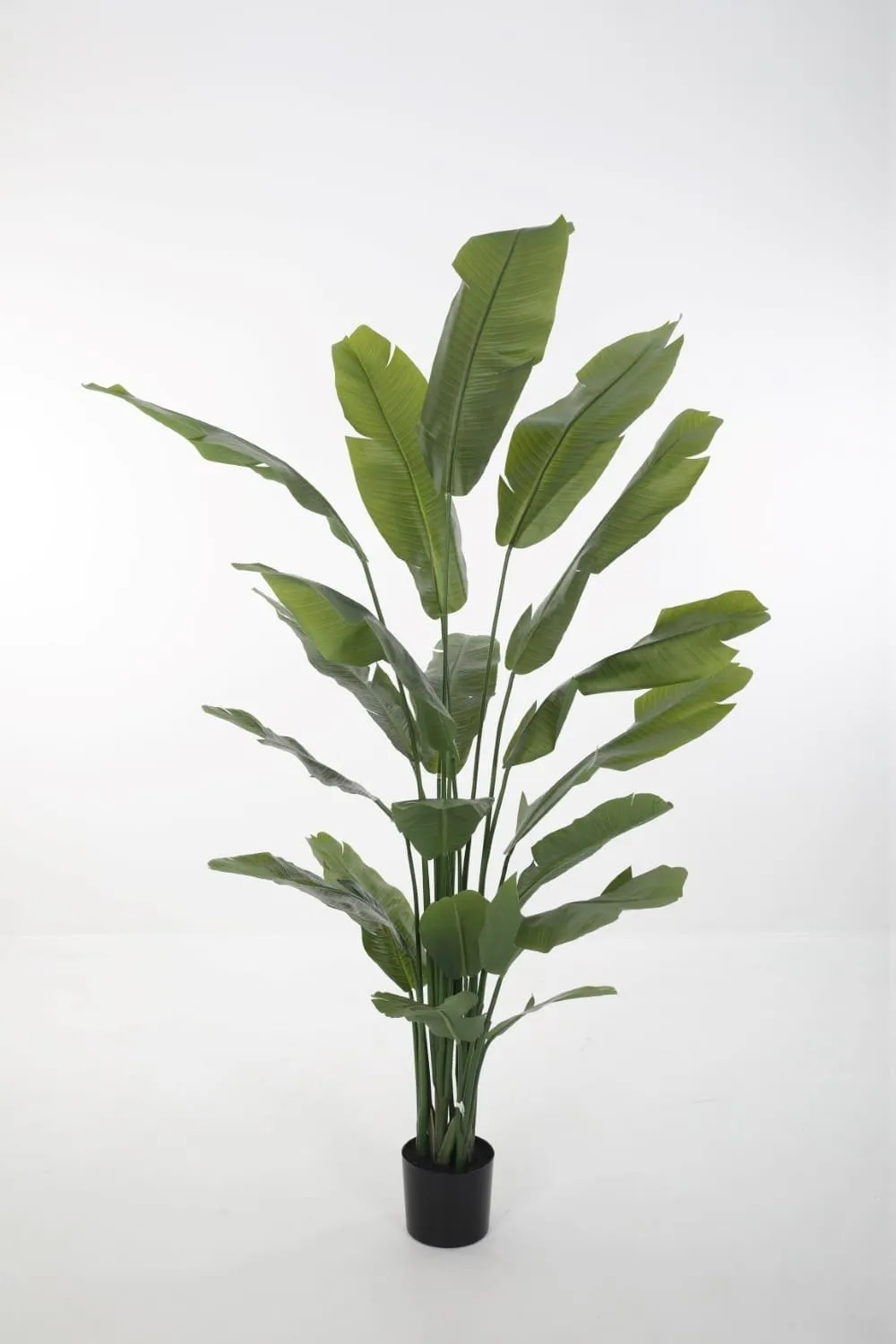 Strelitzia – Luxe Kunstplant