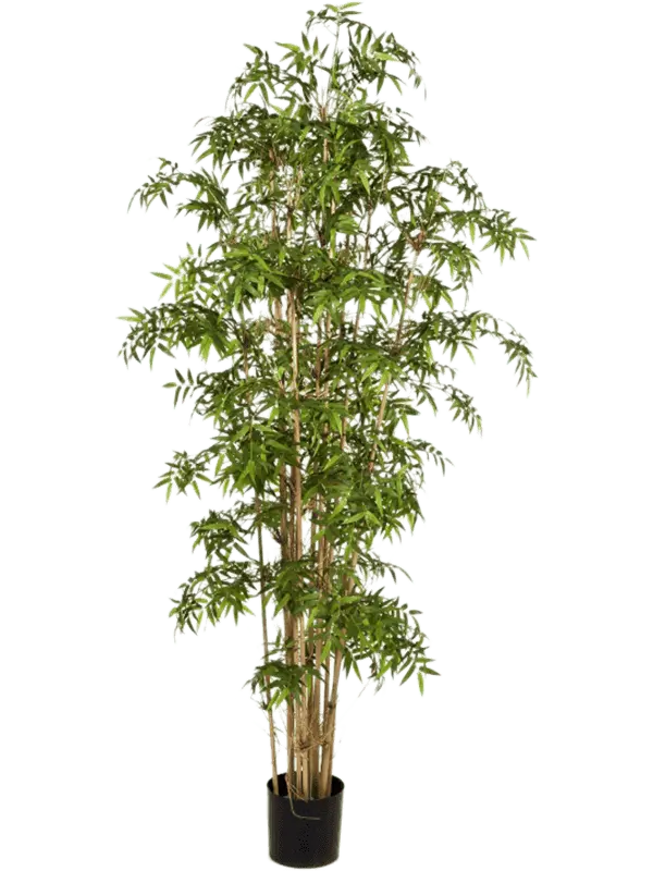 Bamboe Zen Bamboo Deluxe