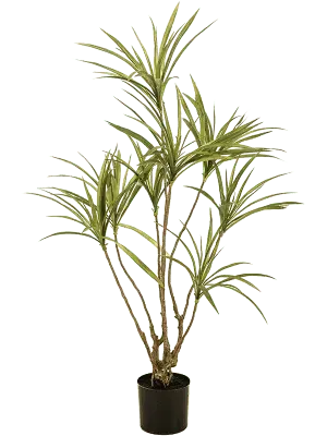 Kunstplant “Dracaena Lime”