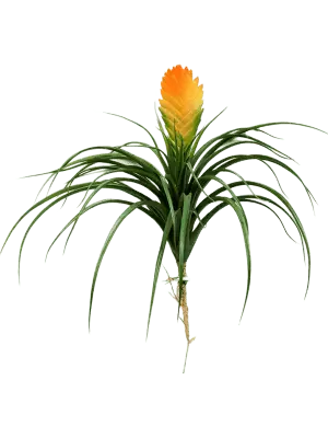 Kunstplant “Vriesea Sunset”